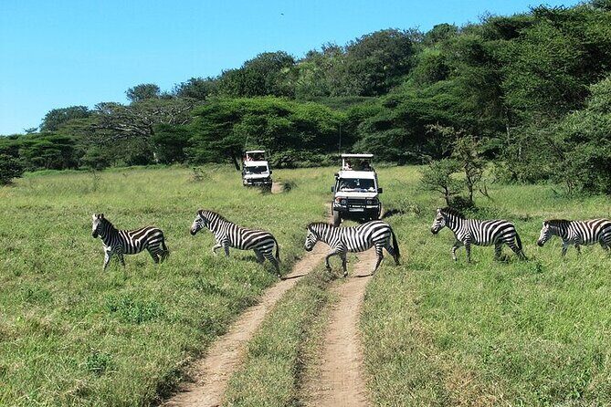 5 Days Exclusive Camping Adventure in Northern Tanzania - FAQ