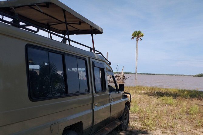 5 Days Explore Selous Game Reserve - Day 5: Return to Dar es Salaam