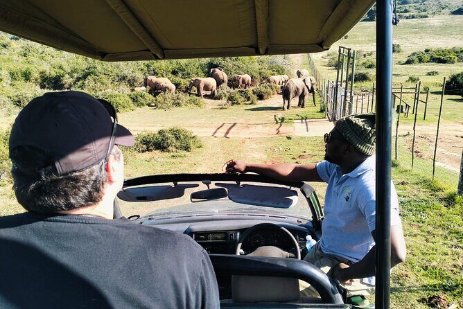 5-Days Garden Route Tour From Port Elizabeth to Cape Town - What This Tour Means for You