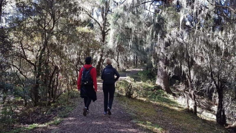 5 Days Glimpse of Bhutan - Who Should Consider This Tour?