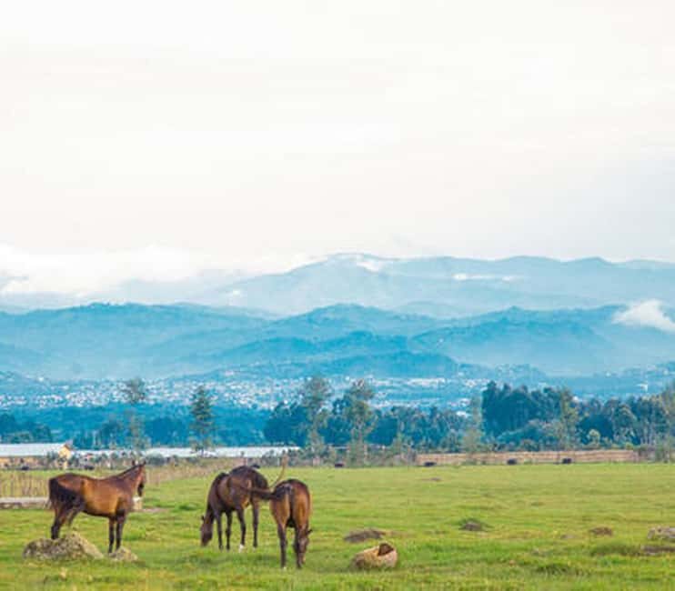 5 Days Gorilla Safari in Rwanda - Final Thoughts: Is This Tour Right for You?