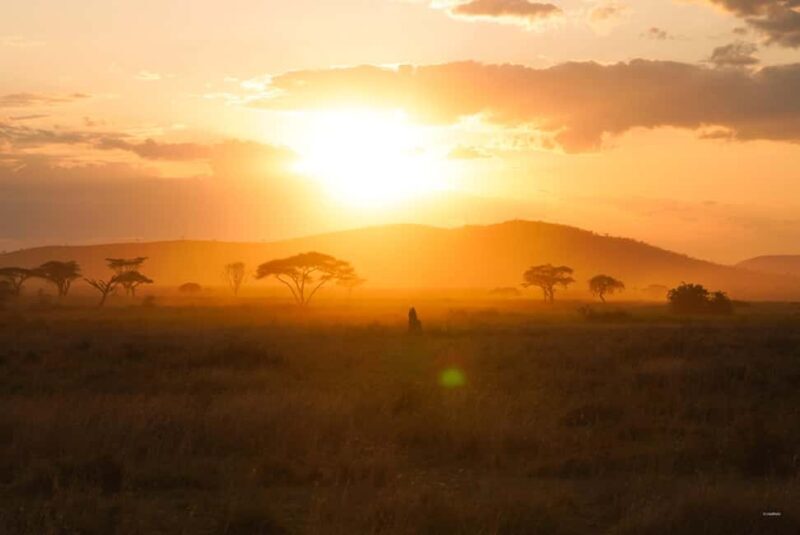5 Days Group Camping Safari - A Closer Look at the Itinerary