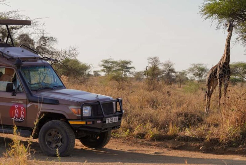 5 Days Group Camping Safari - Authentic Feedback From Travelers