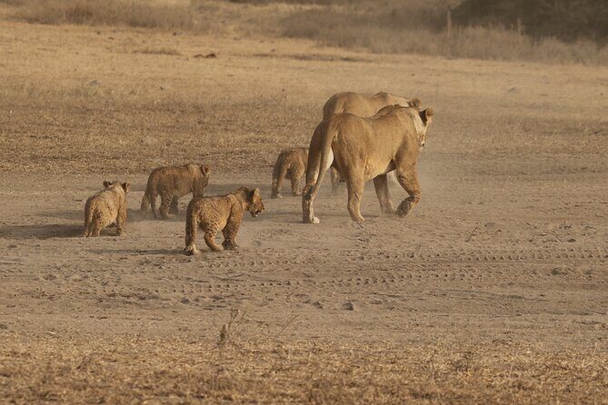 5 Days Group Camping Safari - Key Points