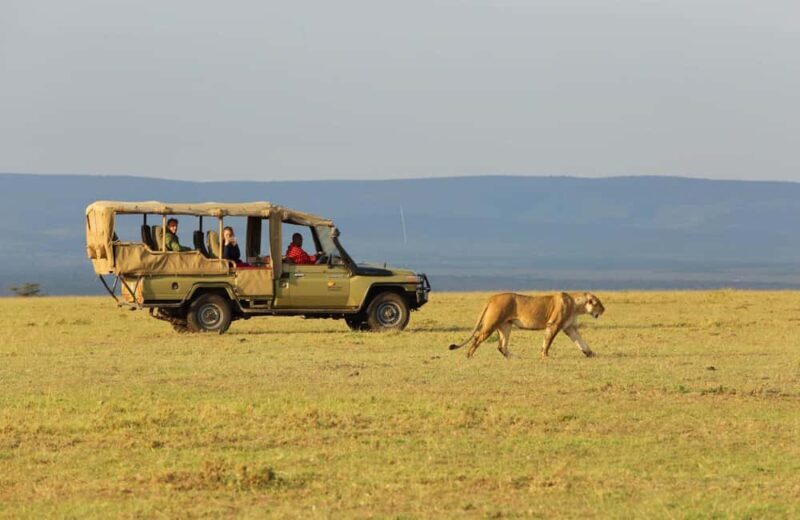 5 Days Group Serengeti, Ngorongoro & Tarangire wildlife Tour - Key Points