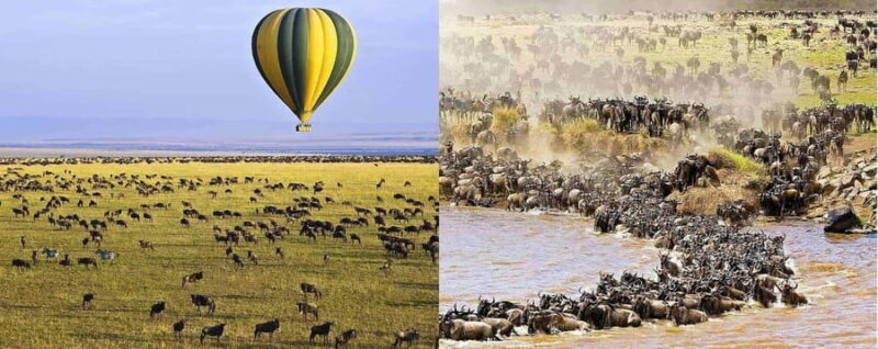 5 Days Group Serengeti, Ngorongoro & Tarangire wildlife Tour - Authenticity and Unique Experiences