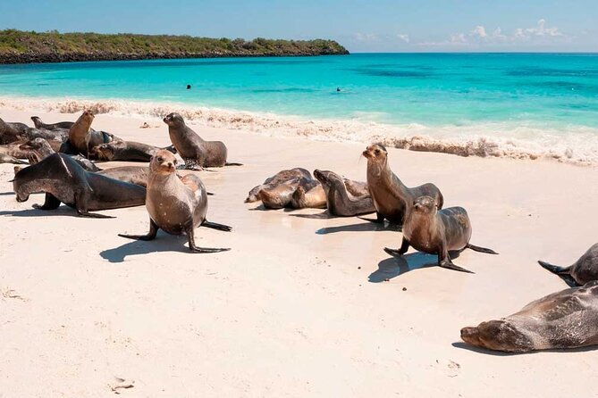 5-days-guided-galapagos-adventure-trip