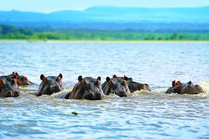 5 Days Hell's Gate, L. Naivasha, L. Nakuru & Masai Mara Luxury Safari - Key Points