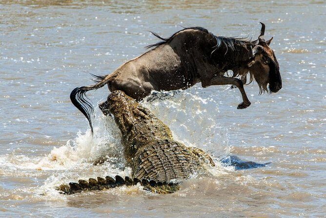 5 Days Hell's Gate, L. Naivasha, L. Nakuru & Masai Mara Luxury Safari - An In-Depth Look at the 5-Day Kenyan Safari