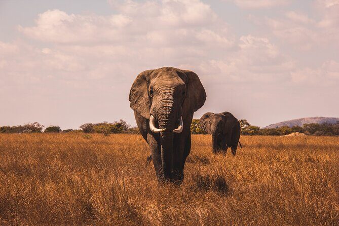 5 Days in the wild & a day hike around Materuni Waterfall. - What Travelers Love and What to Keep in Mind