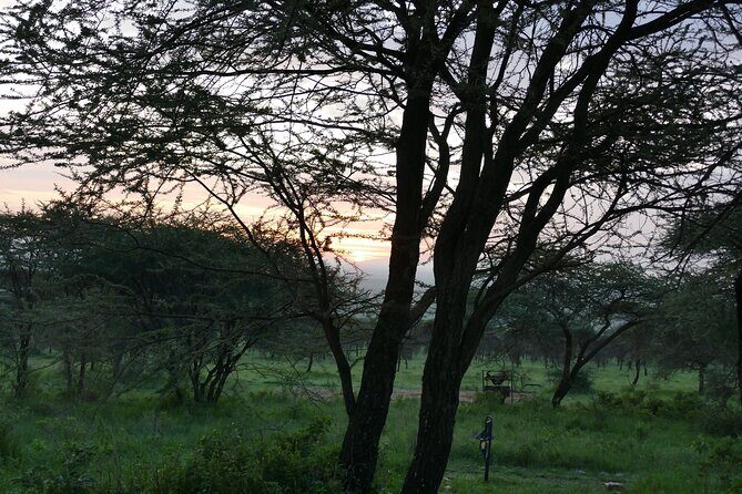 5 Days in to the heart of serengeti - The Sum Up