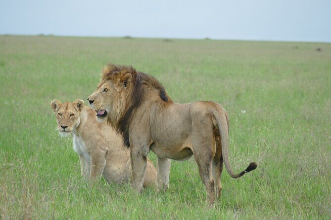 5 Days in to the heart of serengeti - FAQ
