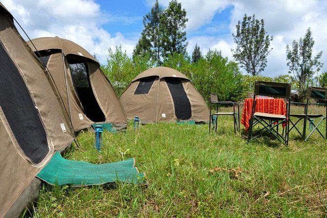5 days into the heart of serengeti (serengeti, ngorongoro, lake manyara) - Authentic Experiences Based on Review Insights