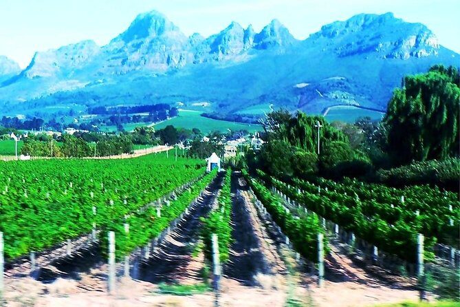 5 Days Johannesburg and Cape Town Tour - Best 5 Days Tour - FAQ