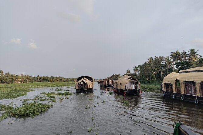 5 Days Kerala Private Premium Tour - Exploring the 5-Day Kerala Private Tour