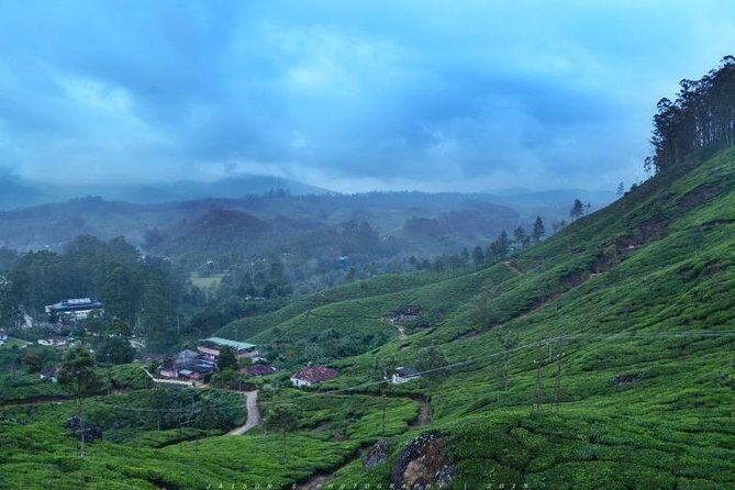 5 Days Kerala Tour Package With 4 Star Stays & Private Houseboat - Final Word: Is This Tour For You?