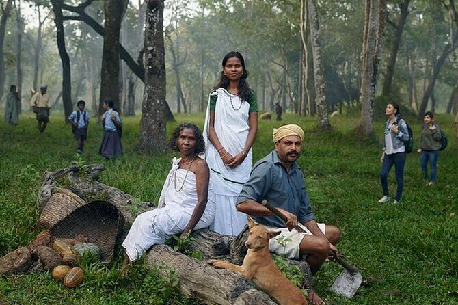 5 Days Kerala Tour with Private Car Houseboat Munnar and Thekkady - Key Points