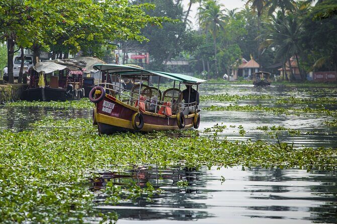 5 Days Kerala Tour with Private Car Houseboat Munnar and Thekkady - Who Is This Tour Best For?