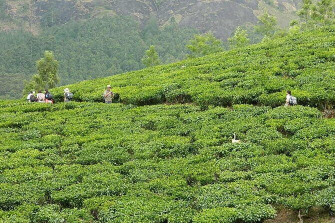 5 Days Kerala Tour with Private Car Houseboat Munnar and Thekkady - Frequently Asked Questions