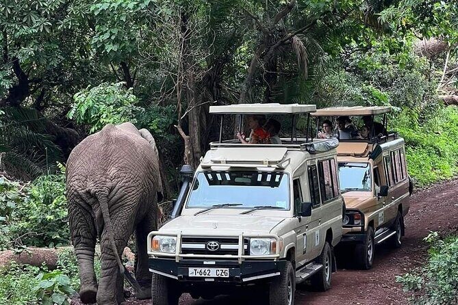 5-Days Lake Manyara, Serengeti, Ngorongoro Crater and Tarangire - A Detailed Look at the 5-Day Tanzanian Safari Experience
