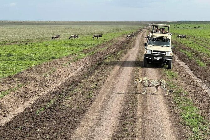 5-Days Lake Manyara, Serengeti, Ngorongoro Crater and Tarangire - Final Thoughts