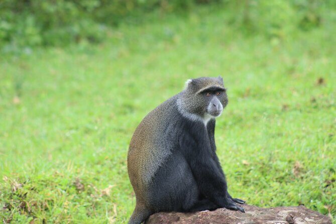 5 Days: Lake Manyara / Serengeti / Ngorongoro - Why This Tour Works Well