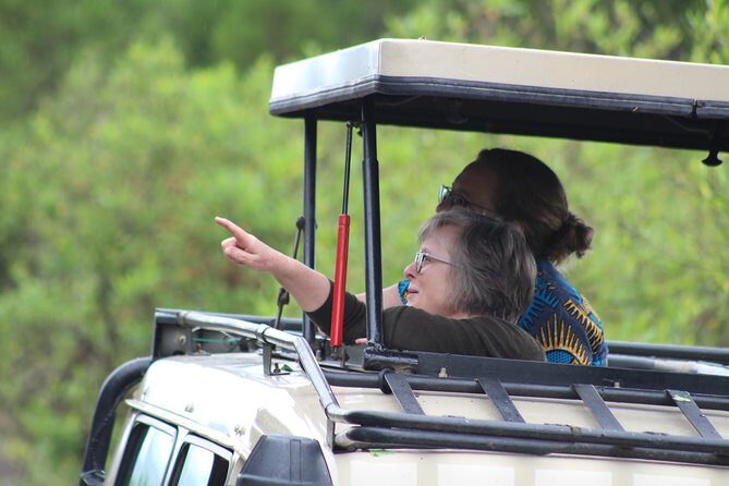 5 Days: Lake Manyara / Serengeti / Ngorongoro - Who Should Consider This Experience?