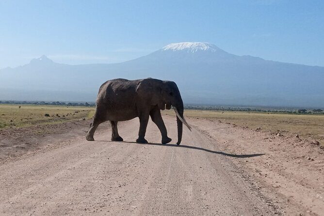 5 Days Lake Naivasha, Lake Nakuru, & Masai Mara - Exploring Kenya’s Top Parks in Five Days