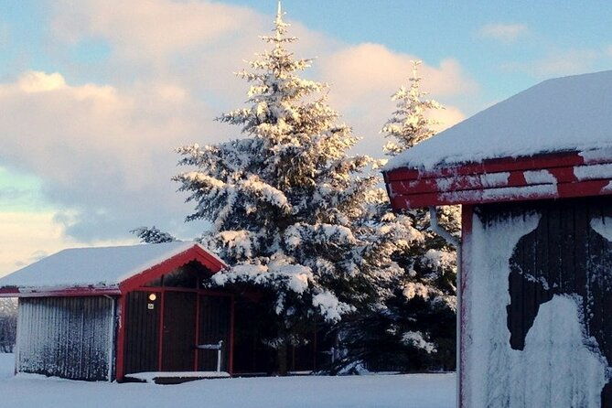 5-days-land-of-northern-lights-tour-from-reykjavik