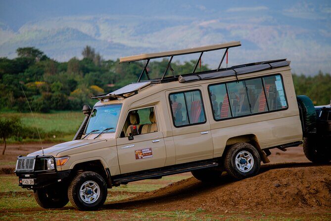 5 days Living Among Lions with Kojuu Safaris - Mid range Lodge - Key Points