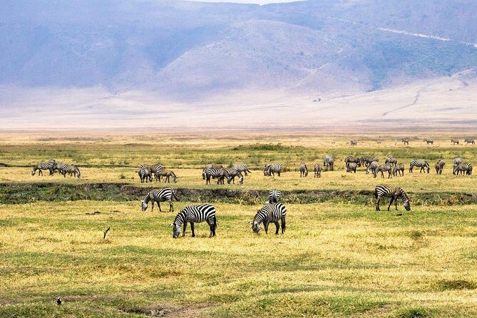 5 Days Lodge Safari - Lake Manyara, Serengeti, Ngorongoro, Tarangire. - Final Thoughts