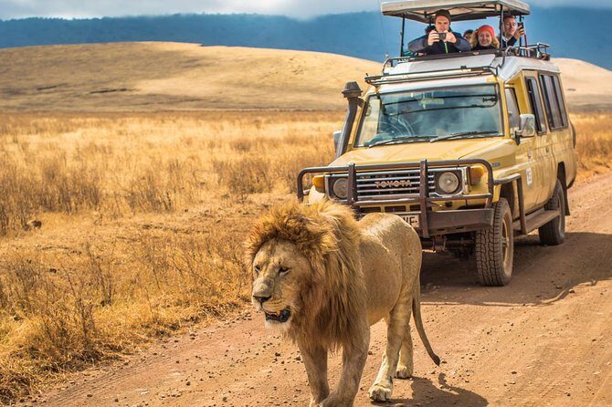 5 Days Lodge Safari - Lake Manyara, Serengeti, Ngorongoro, Tarangire. - Additional Information