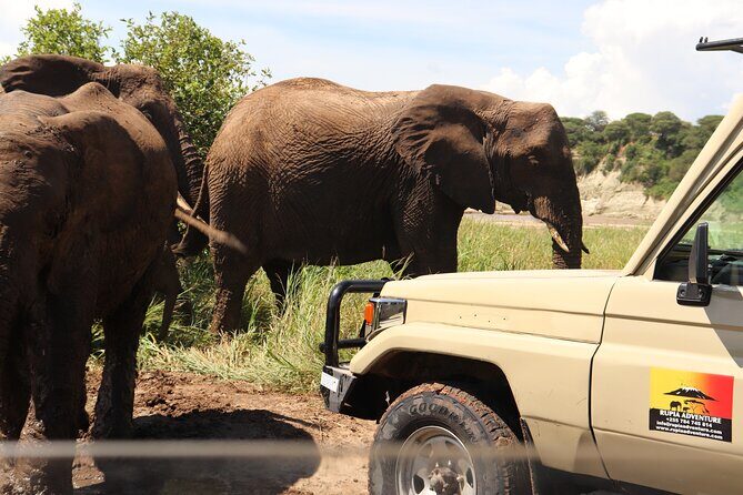5 Days Lodge Safari - Tarangire, Serengeti, Ngorongoro & Manyara - An In-Depth Look at the 5-Day Tanzania Safari