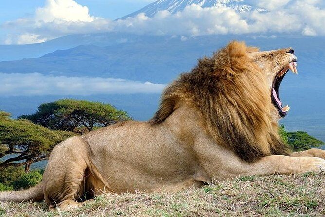 5 Days Maasai mara, Lake Nakuru, samburu private lodge safari - Key Points