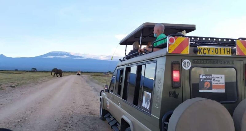 5 Days Magical Kenya Lodge Safari Kenya Wildlife Safari - Day 2: Lake Naivasha to Lake Nakuru  