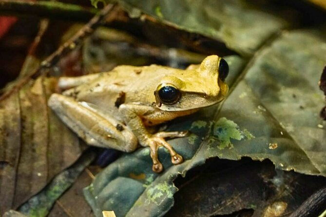 5-days-manu-park-tour