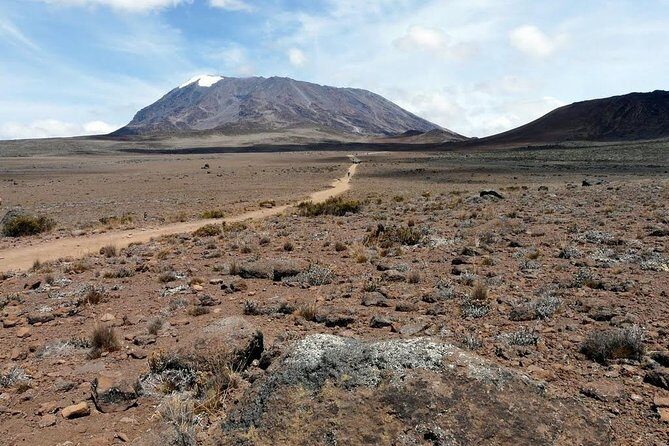 5 Days Marangu Route Kilimanjaro Trekking - In-Depth Look at the 5-Day Itinerary