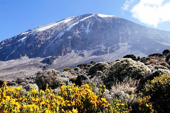 5 Days Marangu Route - Mount Kilimanjaro Trek - Practical Info & FAQs