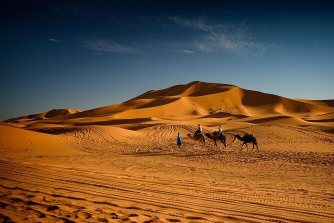 5 days Marrakech to Merzouga - Exploring the Itinerary: What to Expect Each Day