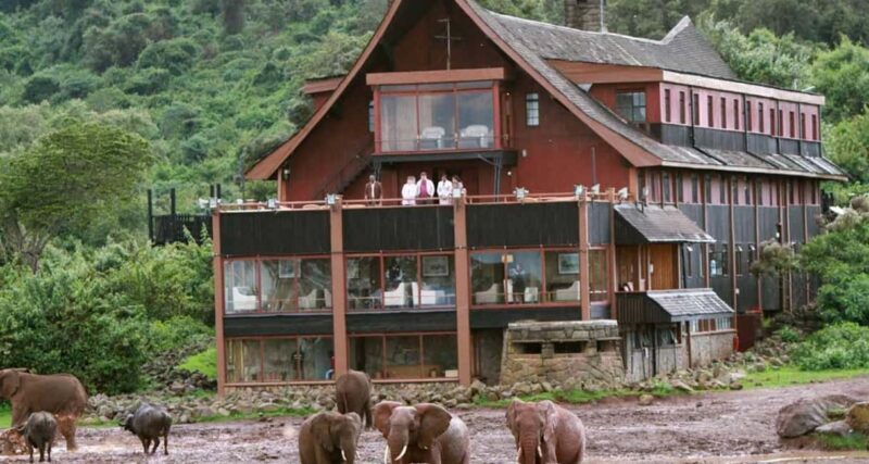 5 Days Masai Mara, Lake Nakuru and Aberdare Circuit Safari - Key Points