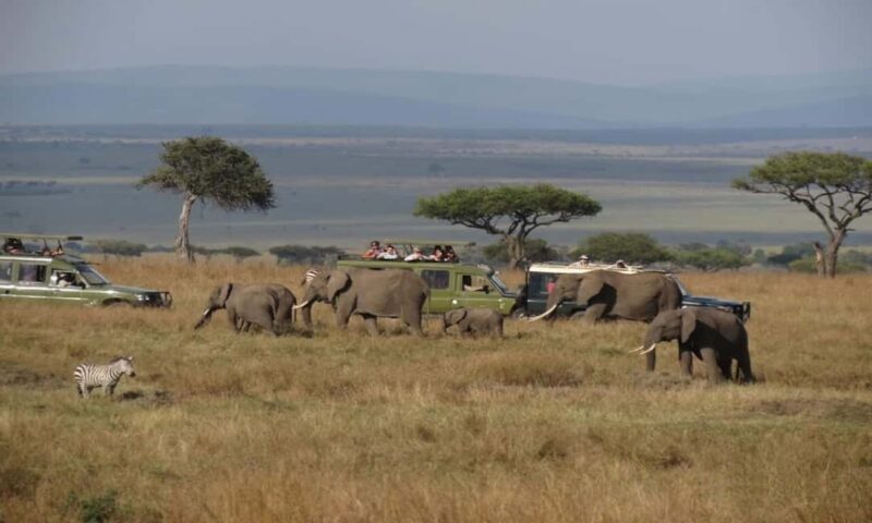 5 Days Masai Mara, Lake Nakuru and Aberdare Circuit Safari - Key Points