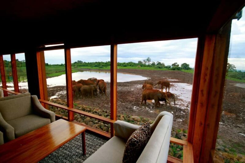 5 Days Masai Mara, Lake Nakuru and Aberdare Circuit Safari - Starting with the Itinerary: A Day-by-Day Breakdown