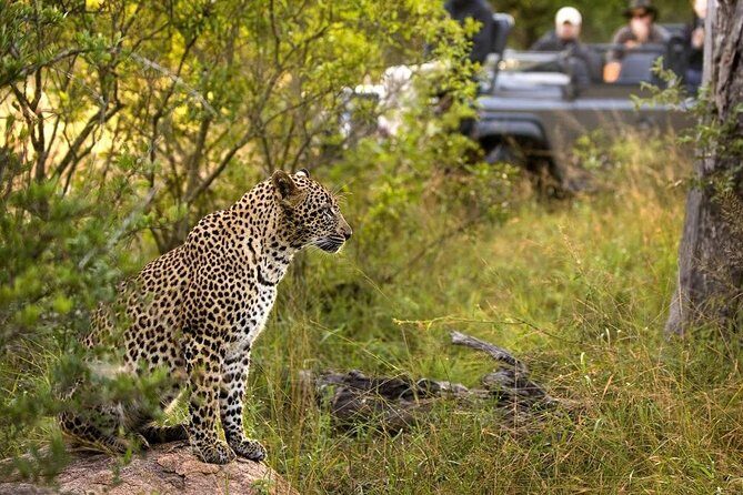 5-Days Masai Mara- Lake Nakuru - Lake Naivasha Kenya Safari Tour - The Itinerary Explored: Day by Day