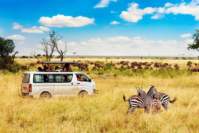 5 Days Masai Mara, Lake Nakuru & Naivasha Budget Joining Safari - The Sum Up