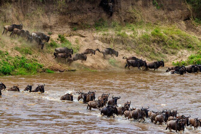 5 Days Mid-Range Group Safari with Accommodation - What Makes This Safari Stand Out?