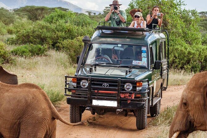 5 Days Mombasa,Tsavo East, Taita Salt Lick, Tsavo West, Amboseli, - Key Points