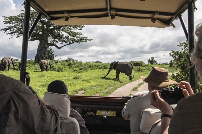 5 Days Mombasa,Tsavo East, Taita Salt Lick, Tsavo West, Amboseli, - Analyzing the Experience: What We Loved and What to Consider