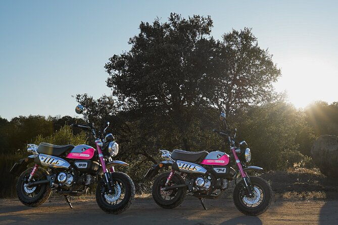 5-days-motorcycle-fun-tour-in-the-north-of-portugal
