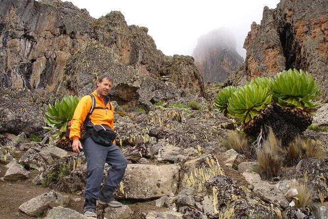 5 Days Mount Kenya Trekking Through Sirimon in Chogoria Route - Authentic Experiences from Past Travelers