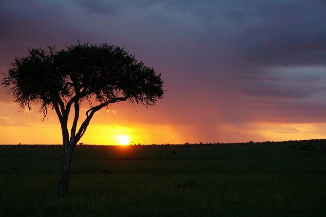 5 DAYS mt. Kenya climb - An In-Depth Look at the Mount Kenya Climb Experience